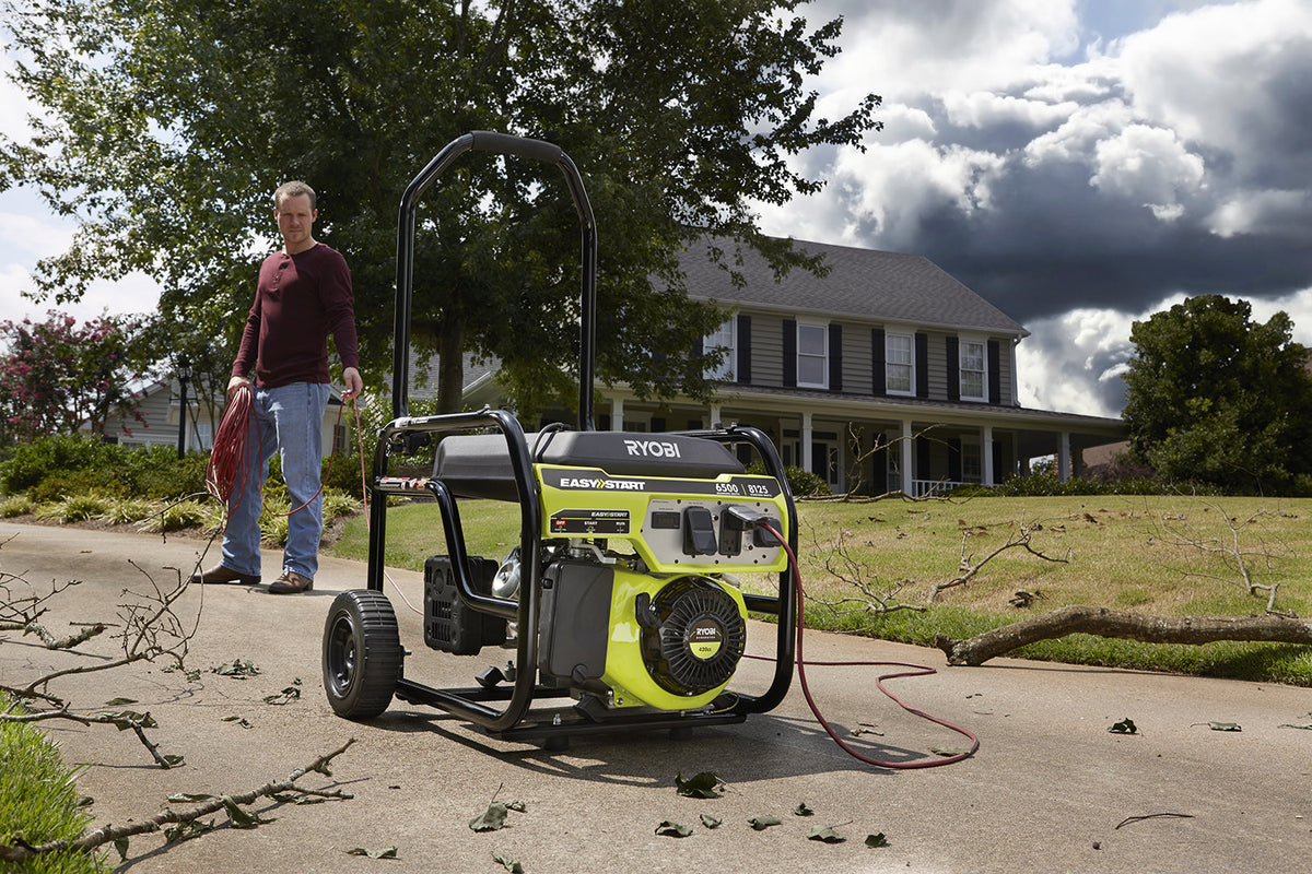 8125 Watt Portable Gas Generator - RY906500S