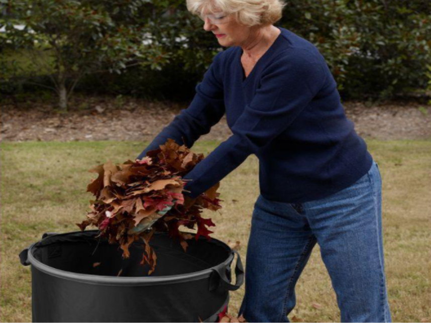Lawn and Leaf Bag - AC04313