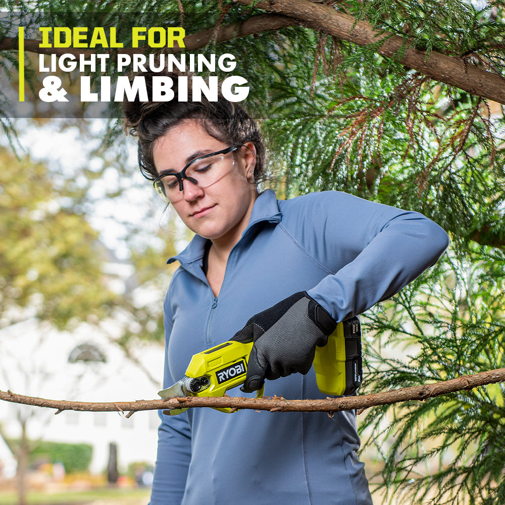 18V ONE+ Pruning Shear Kit - P2540